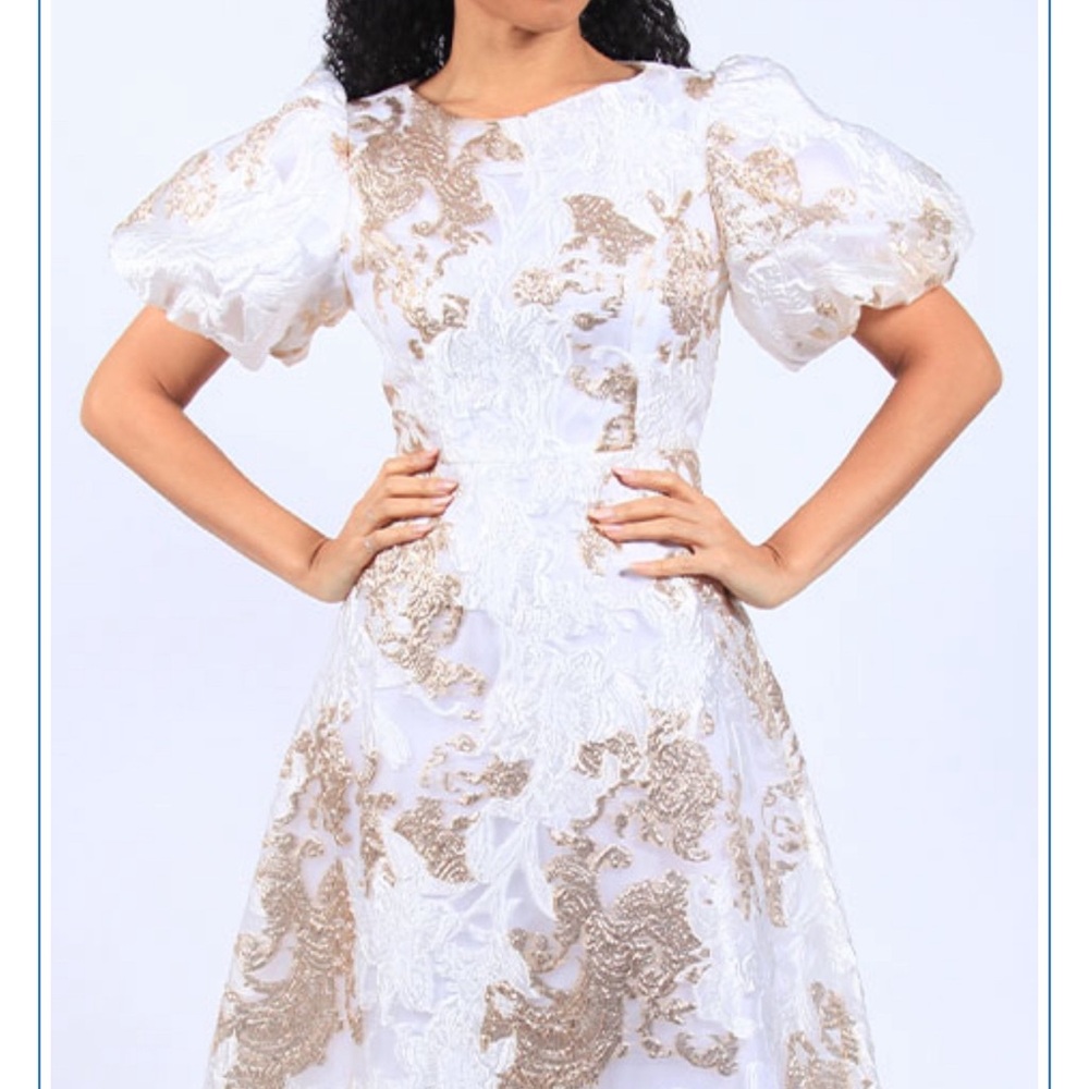 Diana Metallic Puff sleeve dress 👗
